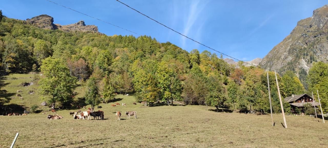 Agriturismo Alagna Extérieur photo