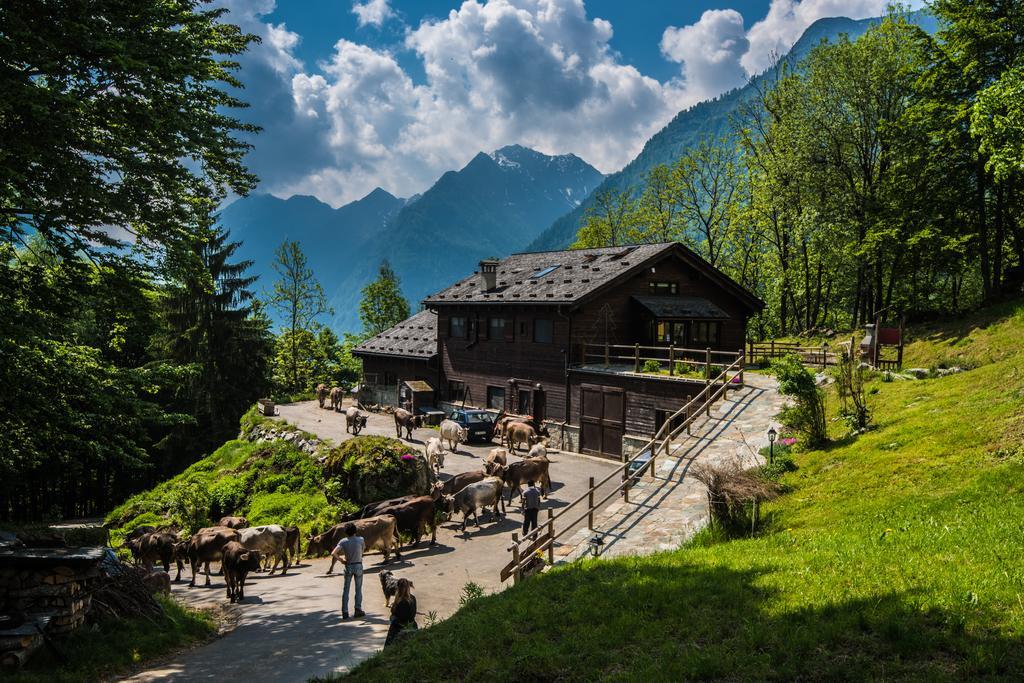 Agriturismo Alagna Extérieur photo