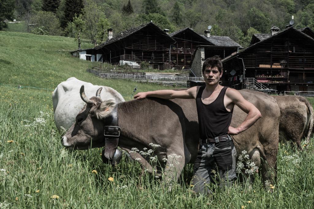 Agriturismo Alagna Extérieur photo